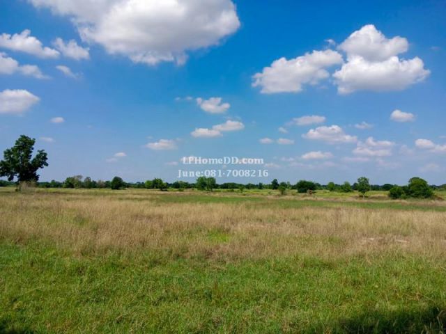 ขายถูก ที่ดิน 28 ไร่ 3 งาน บ้านหนองกก ห่างจากตัวอำเภอสีคิ้ว 14 กม. ที่ดินติดถนนสาธารณะประโยชน์  โฉนด น.ส.4จ.พร้อมโอน