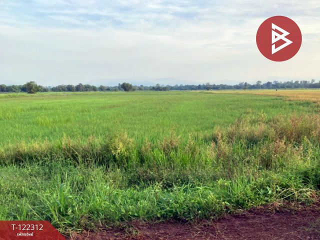 ขายที่ดินเปล่า เนือที่ 6 ไร่ ปากพลี นครนายก