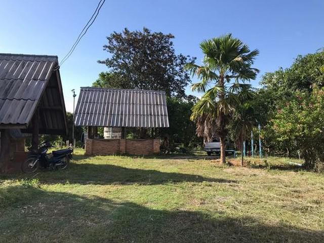 ขายที่ดินลำไย 6ไร่1ง. 2.2ล บ.ห้วยกาน อ.บ้านโฮ่ง ลำพูน