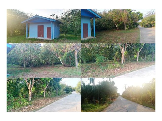 !!!ที่ดินติดคลอง&ถนนคอนกรีต!!! เสนอขายสวนผลไม้มังคุด ลองกอง เงาะ เนื้อที่ 2 ไร่ ตำบลฉมัน อำเภอมะขาม จังหวัดจันทบุรี