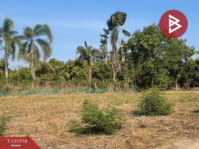 ขายที่ดิน เนื้อที่ 1 งาน ตะพง ระยอง