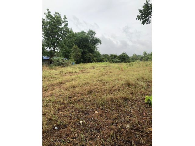 L1541 ขายที่ดินผังม่วง 1 ไร่ ศรีมหาโพธิ ปราจีนบุรี