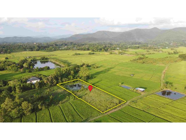 ที่นาพร้อมสระน้ำ 2-1-34 ไร่ วิวดอย ติดถนนสาธารณะ ขยายน้ำ-ไฟไม่ไกล