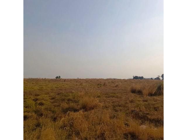 ขายที่ดินเปล่าบ่อวิน ศรีราชา ทำเลดี ใกล้นิคมอมตะซิตี้