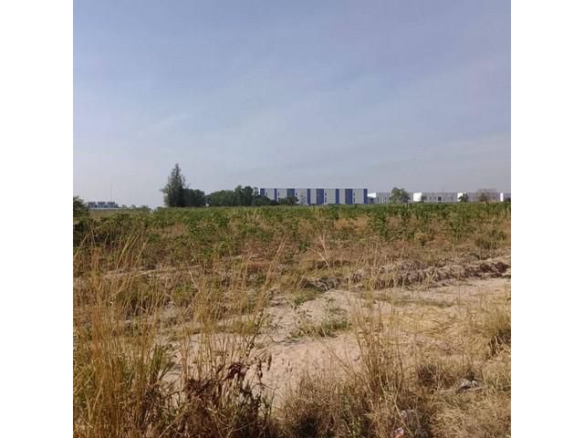 ขายที่ดินระยอง โซนมาบยางพร ปลวกแดง ใกล้นิคมอมตะซิตี้ นอกนิคม