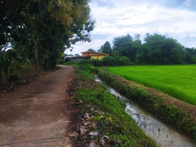 ที่ดิน 8 ไร่ 2 งาน เหมาะเกษตรใกล้โรงเรียน วัด บ้านพักผ่อน อากาศดี