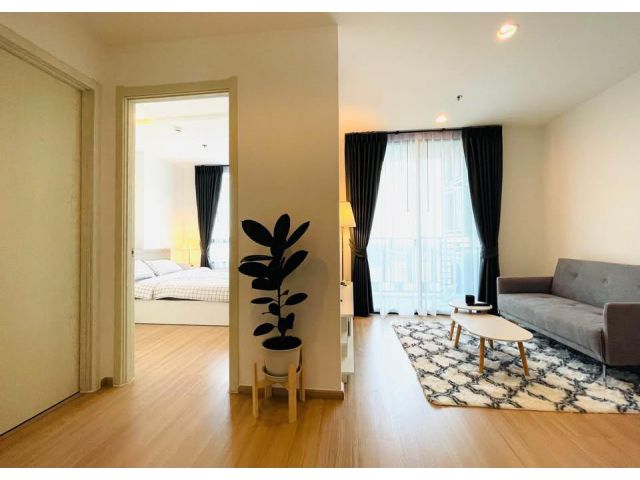 Artemis 77 clean nice