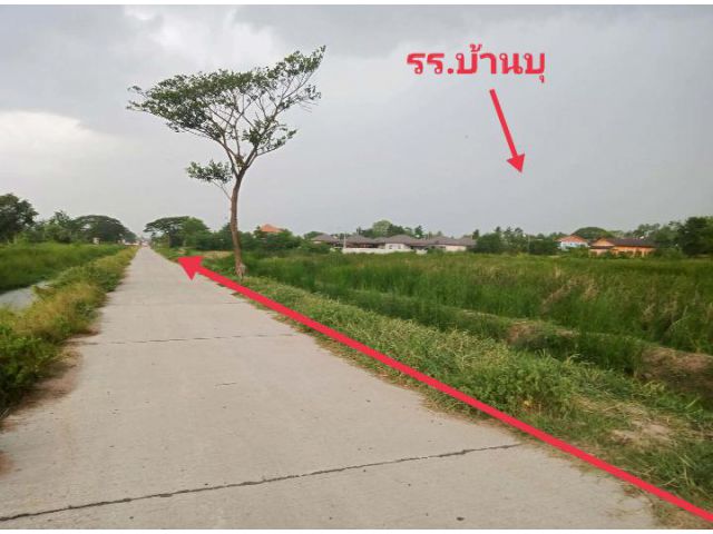 !!!!ที่ดินแปลงสวย3ไร่1งาน80ตรว.ติดถนนคลองชลใกล้ร.ร.บ้านบุ/ตลาดสด/เซเว่น