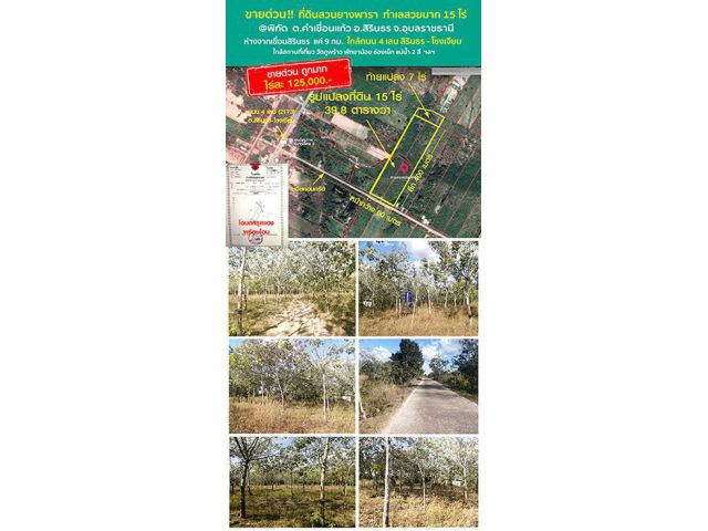 ขายที่ดิน สวนยางพารา 15 ไร่ ***น้ำไม่ท่วม ปลอดภัยจากแผ่นดินไหว***ที่ดินบ้าน สวยงามมาก หน้ากว้าง 60 เมตร ลึก 400 เมตร ต.ค
