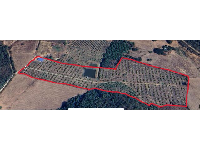 ขายที่ดินพร้อมสวนทุเรียน 30 ไร่ 4 ล้านบาท