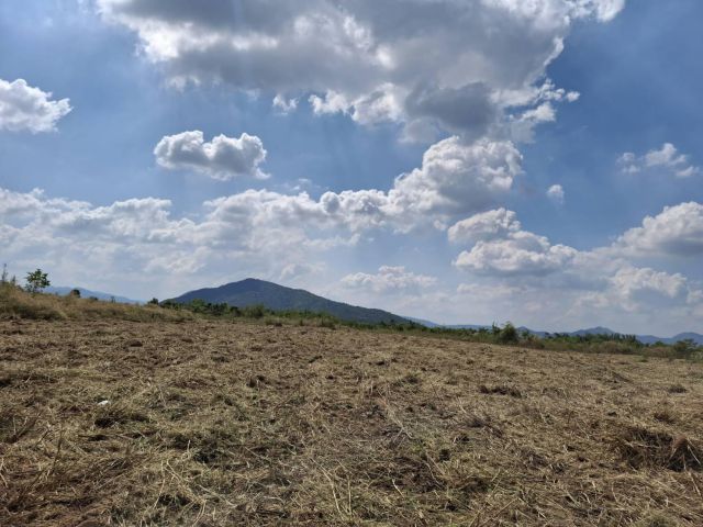 ขายด่วน!! ที่ดิน ภ.บ.ท.5 สวยๆ 161 ไร่ ต.รางบัว อ.จอมบึง จ.ราชบุรี แบ่งขายแปลงละ 50 ไร่ ขึ้นไป ราคาไร่ละ 180,000 เท่านั้น