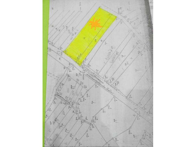 ขายด่วนที่นาปรับเรียบสวยๆ ติดคลองส่งน้ำ โฉนด 3 แปลง ติดถนนลาดยาง 48 ไร่เศษๆ ต.กุยเหนือ อ.กุยบุรี จ.ประจวบคีรีขันธ์ ขายไร่ละ 200,000.-