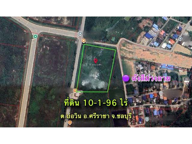 ขายและให้เช่าที่ดินศรีราชาชลบุรี 10-1-96 ไร่