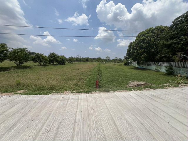 ขายที่ดินหนองหงษ์ 1 ไร่ ติดถนนคอนกรีต ใกล้นิคมอมตะเฟส10-5กม. อ.พานทอง จ.ชลบุรี