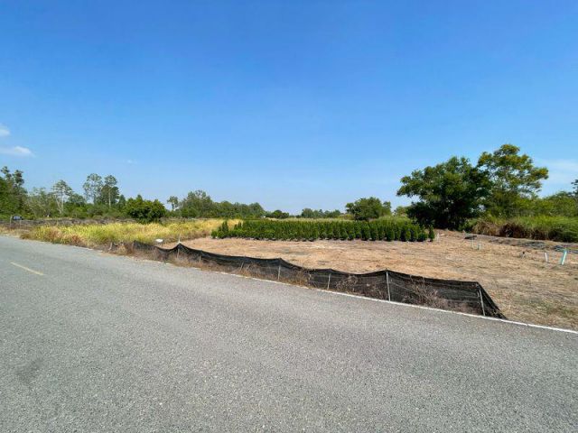 ที่ดินเปล่า 23-2-09 ไร่ คลอง 15 องครักษ์ ติดถนนปูน ตำบลคลองใหญ่ อำเภอองครักษ์ จังหวัดนครนายก