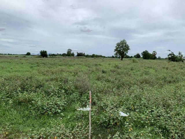 ขายที่ดินเปล่าห้วยกระเจา จ.กาญจนบุรี 17 ไร่ 33 ตารางวา