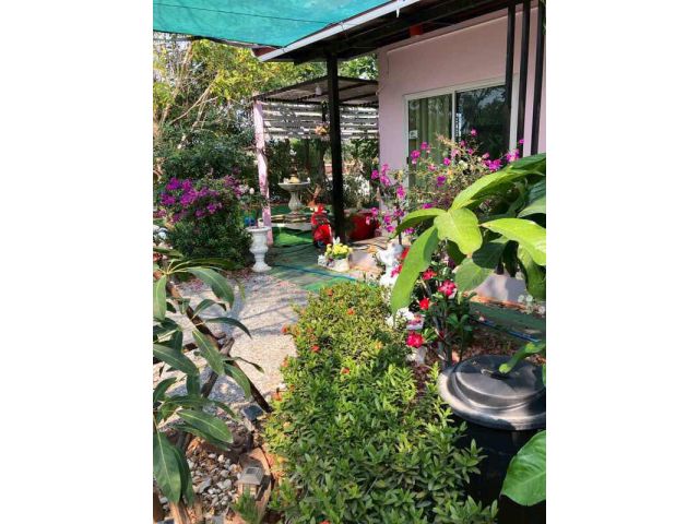 บ้าน2หลังพร้อมที่ดิน2ไร่