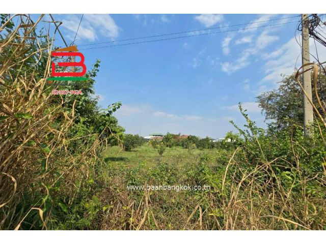 ที่ดิน นาเกลือ-พัทยา (ใกล้เซ็นทรัลพัทยา) เนื้อที่ 4 ไร่ 3 งาน 73 ตรว. ตำบลนาเกลือ อำเภอบางละมุง จังหวัดพัทยา