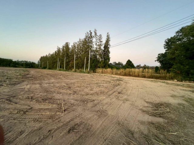 ขายที่ดินหนองเหียง 15 ไร่ บ้านไทรคู่ซอย14 ใกล้ถนนเส้น331-9กม. อ.พนัสนิคม จ.ชลบุรี