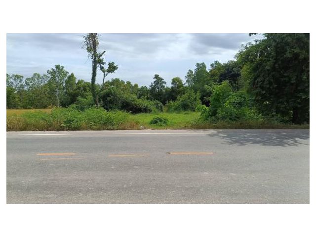 ที่ดิน 2-1-40 ไร่ บ.นายอ ต.งิ้วด่อน เมืองสกลนคร