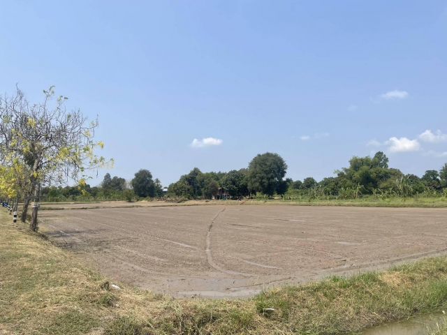 L1550 ขายที่ดินใกล้ถนน.32  2 ไร่ ไชโย อ่างทอง