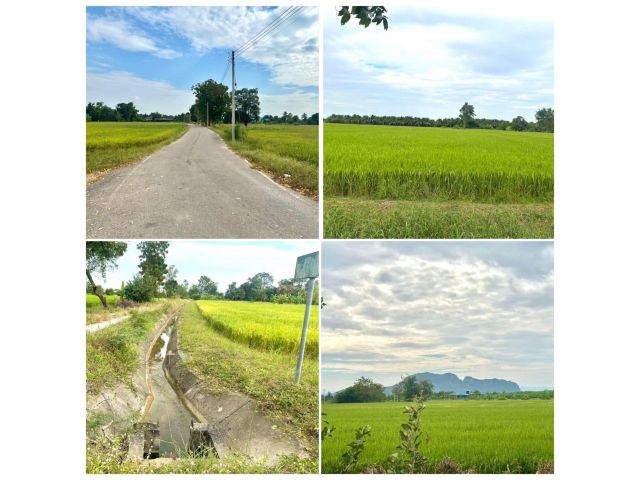 ขายที่ดินเหมาะปลูกบ้าน ทำสวน 5ไร่ 2งานเศษ เเปลงสวย หน้ากว้าง วิวเขา ปากท่อ ราชบุรี