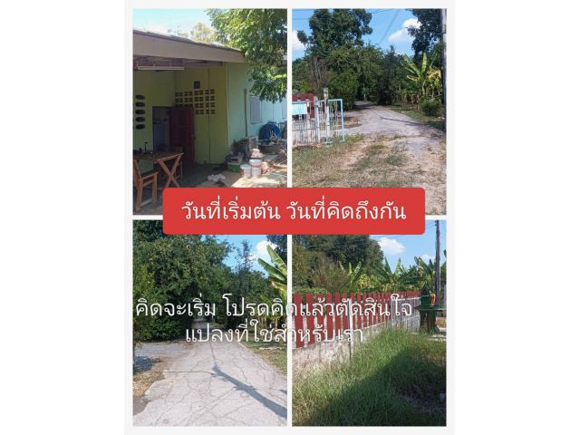 !พจสุกรซ่อนร่าง อย่างสวยอย่างหนาอย่างคุ้มค่าพิเศษ เป็นเขตที่อยู่อาศัยราคานี้ต้องดีสถานเดียว ถึงแปลงที่จำเป็นสำหรับเรา