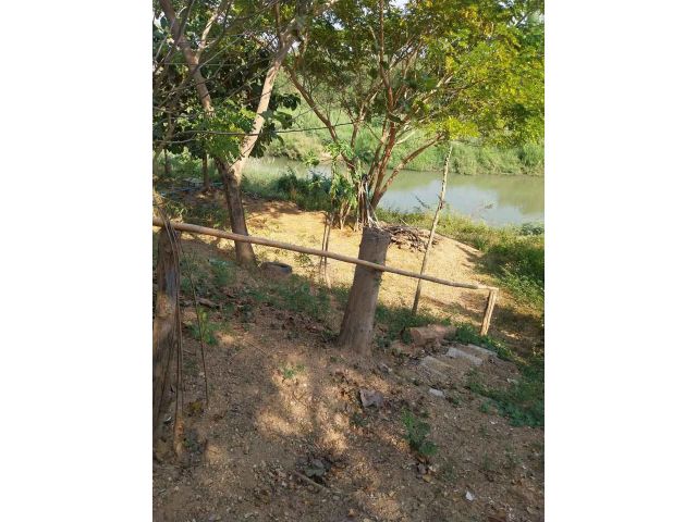 ขายที่ดินติดริมน้ำแม่วัง1ไร่3งาน12ตารางวาตำบลทุ่งฝายบ้านท่าโทกอำเภอเมืองจังหวัดลำปางห่างจากถนนเส้นหลักไปประมาณ180-200เมต