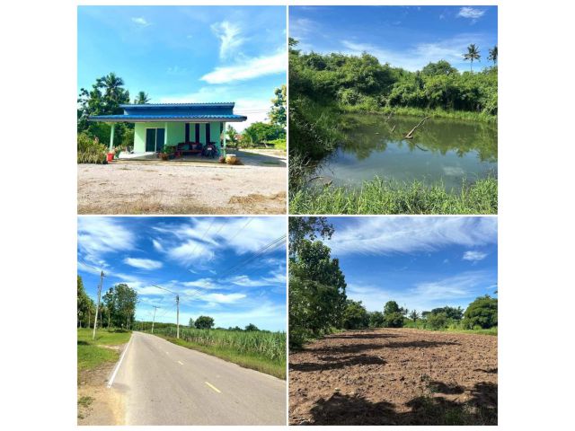 ขายบ้านพร้อมที่ดิน 5 ไร่เศษ เหมาะทำบ้านสวน ติดลาดยาง น้ำไฟพร้อม ท้ายติดลำห้วย ปากท่อ ราชบุรี