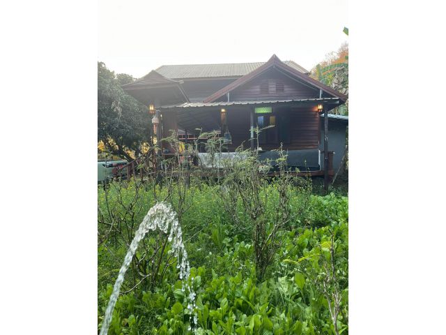 ขายบ้าน 3 หลัง พร้อมคนเช่า เนื้อที่ 1 ไร่ 33 ตรว.