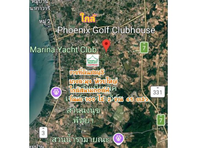 ขายที่ดินชลบุรี 100 ไร่ 2 งาน 65 ตรว. ใกล้สนามกอล์ฟฟินิกซ์ บางละมุง ห้วยใหญ่