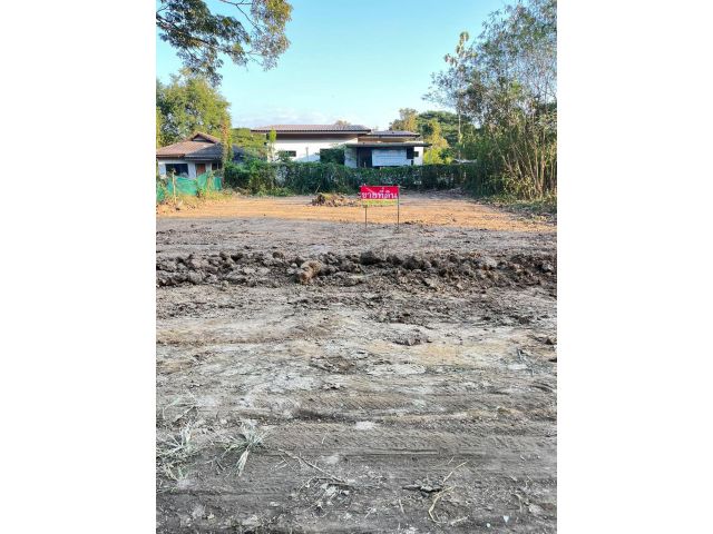 ขายที่ดิน 100 ตรว. บ้านสันไร่ ซอย 5 ต.สันกำแพง อ.สันกำแพง จ.เชียงใหม่