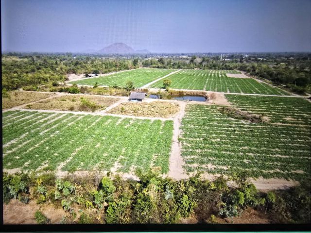 ขายที่โฉนด เนื้อที่ 48 – 0 – 70 ไร่ อยู่ วังจันทร์ หลัง ปตท. แยกจานบิน