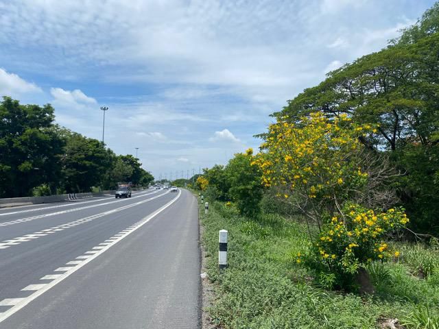 ขายที่ดิน 1 ไร่ครึ่ง ติดถนนสายเอเชีย บางปะหัน อยุธยา