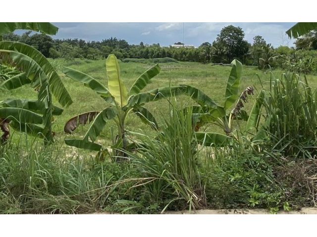 ขายด่วน!ที่ดินเปล่าถมแล้ว 4-0-0 ไร่