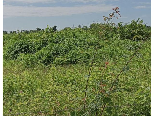 ขายด่วน!ที่ดินเปล่าขนาด 45 ไร่ ใกล้ถนนเลี่ยงเมืองอุดร