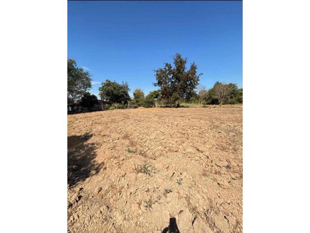 ขายที่ดินแปลงสวย ทำเลทอง อำเภอพนัสนิคม จังหวัดชลบุรี