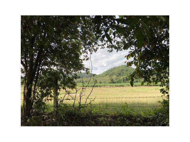 ขายที่ดินสวนเกษตร 3 ไร่ ๆ ละ 1,500,000 บาท มองเห็นวิวภูเขา