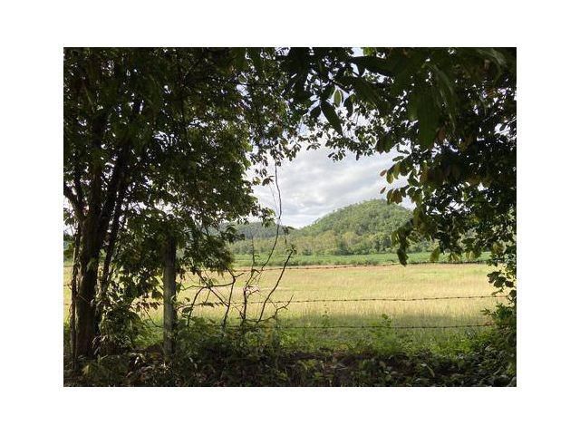 ขายที่ดินสวนเกษตร 3 ไร่ ๆ ละ 1,500,000 บาท มองเห็นวิวภูเขา