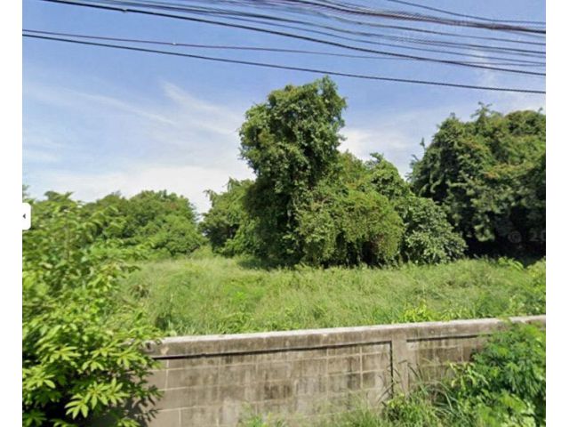 แบ่งขายที่ดินเปล่า 5 แปลง 21 ไร่ 3 งาน 45 ตร.ว. ใกล้เซ็นทรัล ศรีราชา ชลบุรี