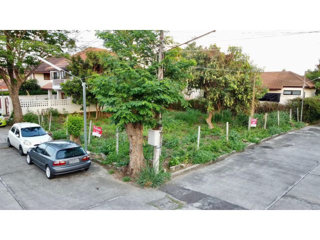 ขายที่ดินในหมู่หมู่บ้านคุ้มผญาหางดงแปลงมุมพร้อมโอน