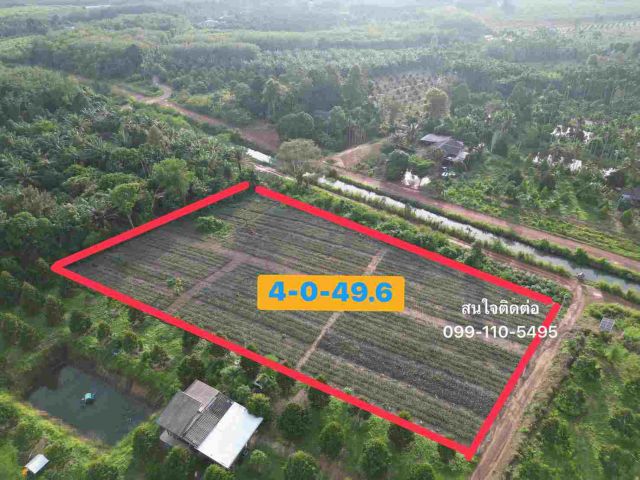 ที่ดินติดคลองส่งน้ำทำเลดีเหมาะสร้างบ้านสวน 4 ไร่ 49 ตร.วา. ต.บ้านนา อ.แกลง จ.ระยอง