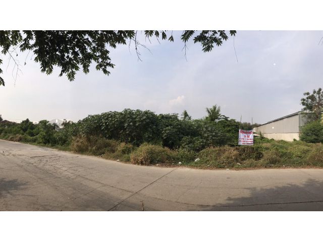 ที่ดินให้เช่า 3-1-1   บ้านเกาะ-สมุทรสาคร