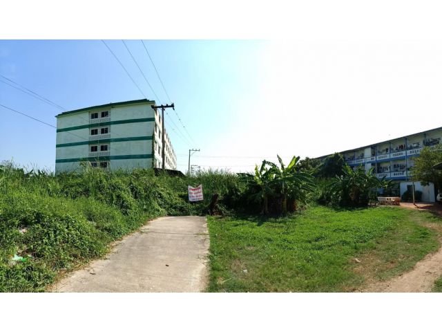 ขายที่ดิน 1 งาน นาดี-สมุทรสาคร