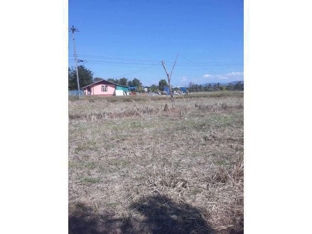 ขายที่ดินทุ่งนาแปลงสวยรูปสี่เหลี่ยม3ไร่28ตารางวา ติดถนน2ด้าน ใกล้สนามกอล์ฟแซนด์ครีก ตั้งอยู่ที่ ต.ห้วยทราย อ.สันกำแพง