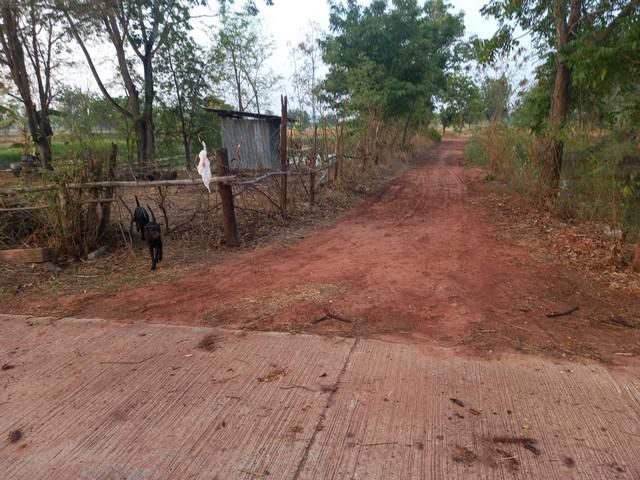 ขายที่ดิน 5-1-60ไร่ 1.1ล.ใกล้ ถ.ชัยภูมิ-บ้านเขว้า อ.เมือง ชัยภูมิ