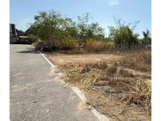 ขายที่ดินหนองปลาไหลถมแล้ว 100 ตรว. ซอยเทพนิมิตร3 ใกล้ถ.กระทิงลาย-ปลวกเกตุ36-4กม. อ.บางละมุง จ.ชลบุรี