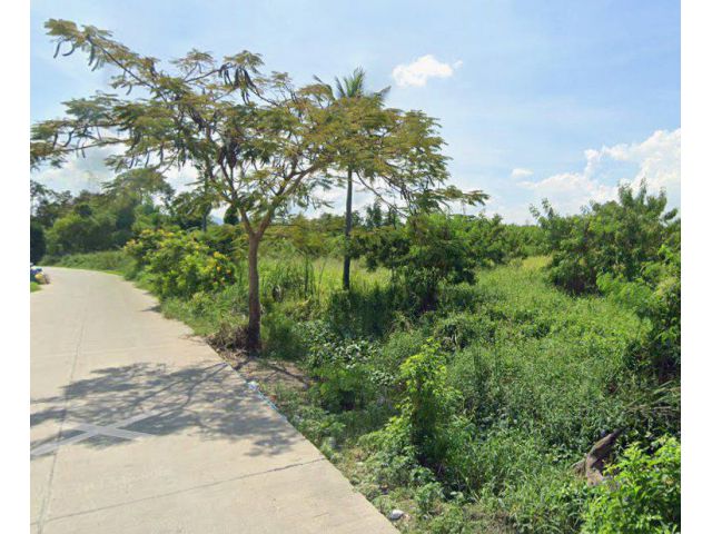 ขายที่ดินหนองตำลึง 6 ไร่ หลังดูโฮมซอยหนองตำลึง-เขานกยูง อ.พานทอง จ.ชลบุรี