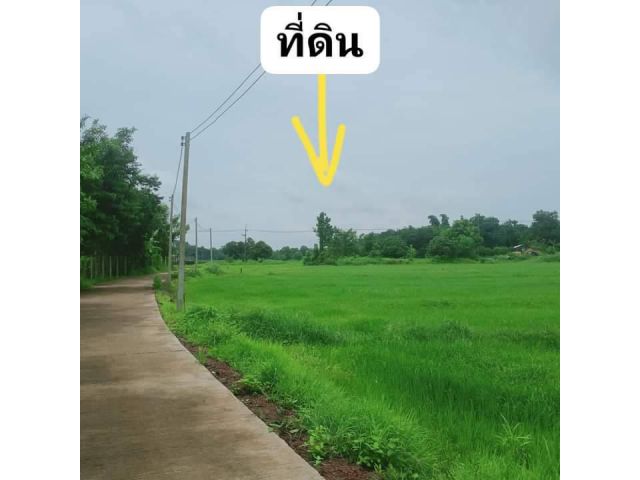 L1571 ขายที่ดินทำเลดี 200 ตรว นาดี ปราจีนบุรี