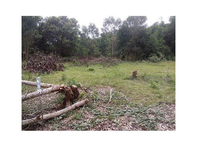 ขายด่วน! ที่ดินทำเลทอง ใจกลางชุมชนแม่ขรี พัทลุง